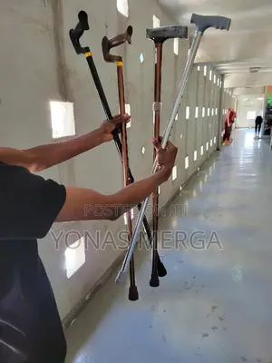 Walking Stick