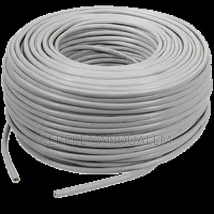 Internet Cable (Cat 6)