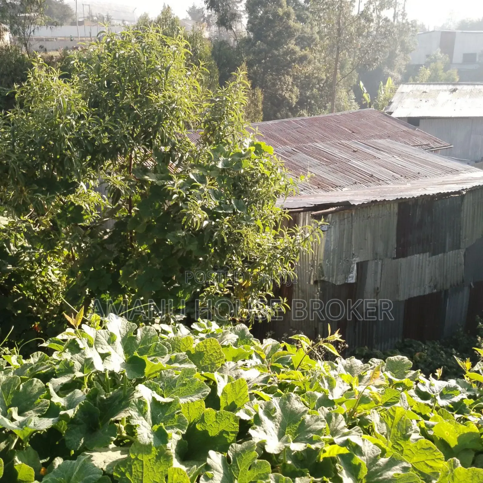 አስቸኳይ የሚሸጥ ለድርጅት የተወሰደ ቦታ