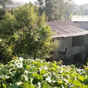 አስቸኳይ የሚሸጥ ለድርጅት የተወሰደ ቦታ