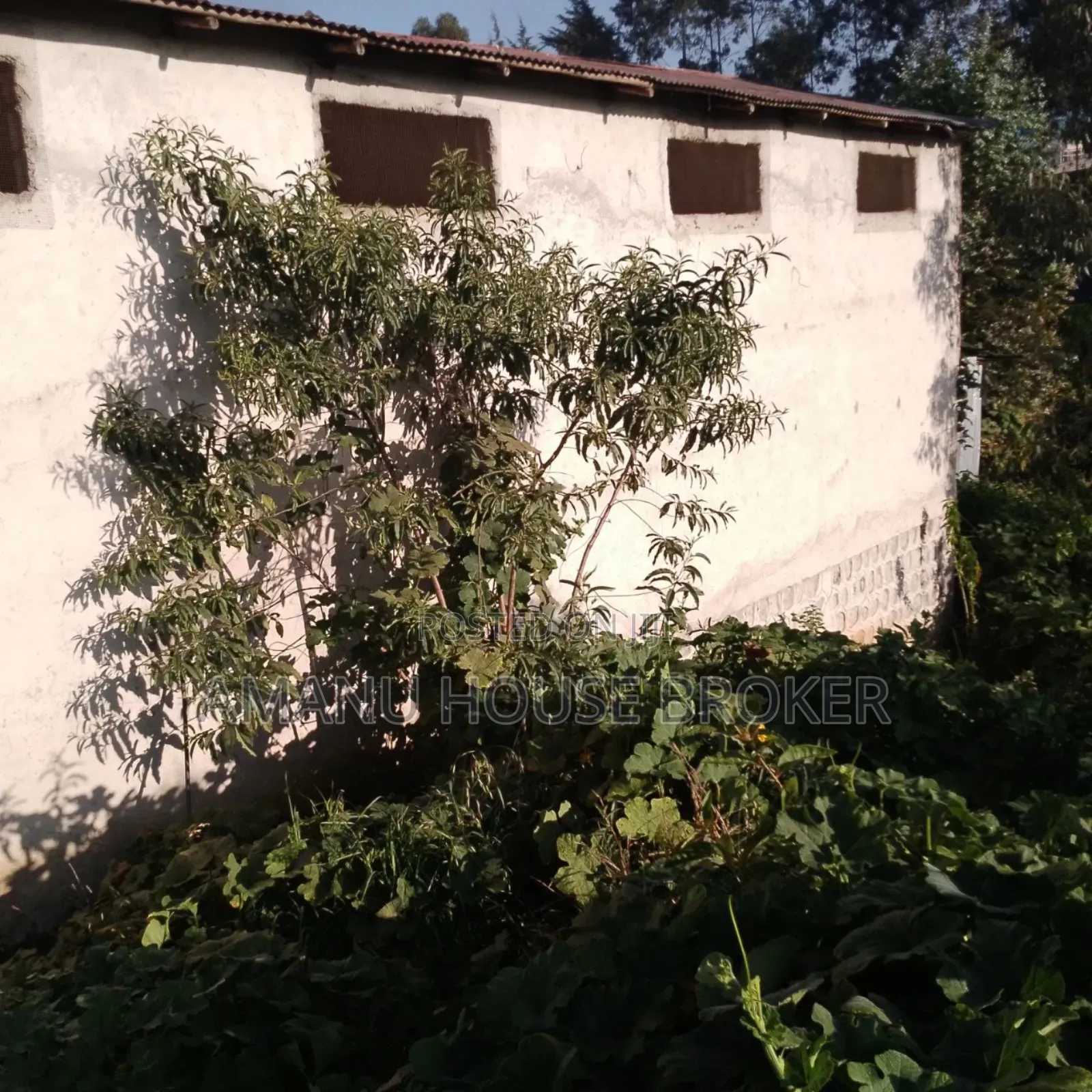 አስቸኳይ የሚሸጥ ለድርጅት የተወሰደ ቦታ