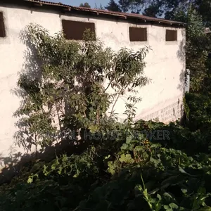 አስቸኳይ የሚሸጥ ለድርጅት የተወሰደ ቦታ