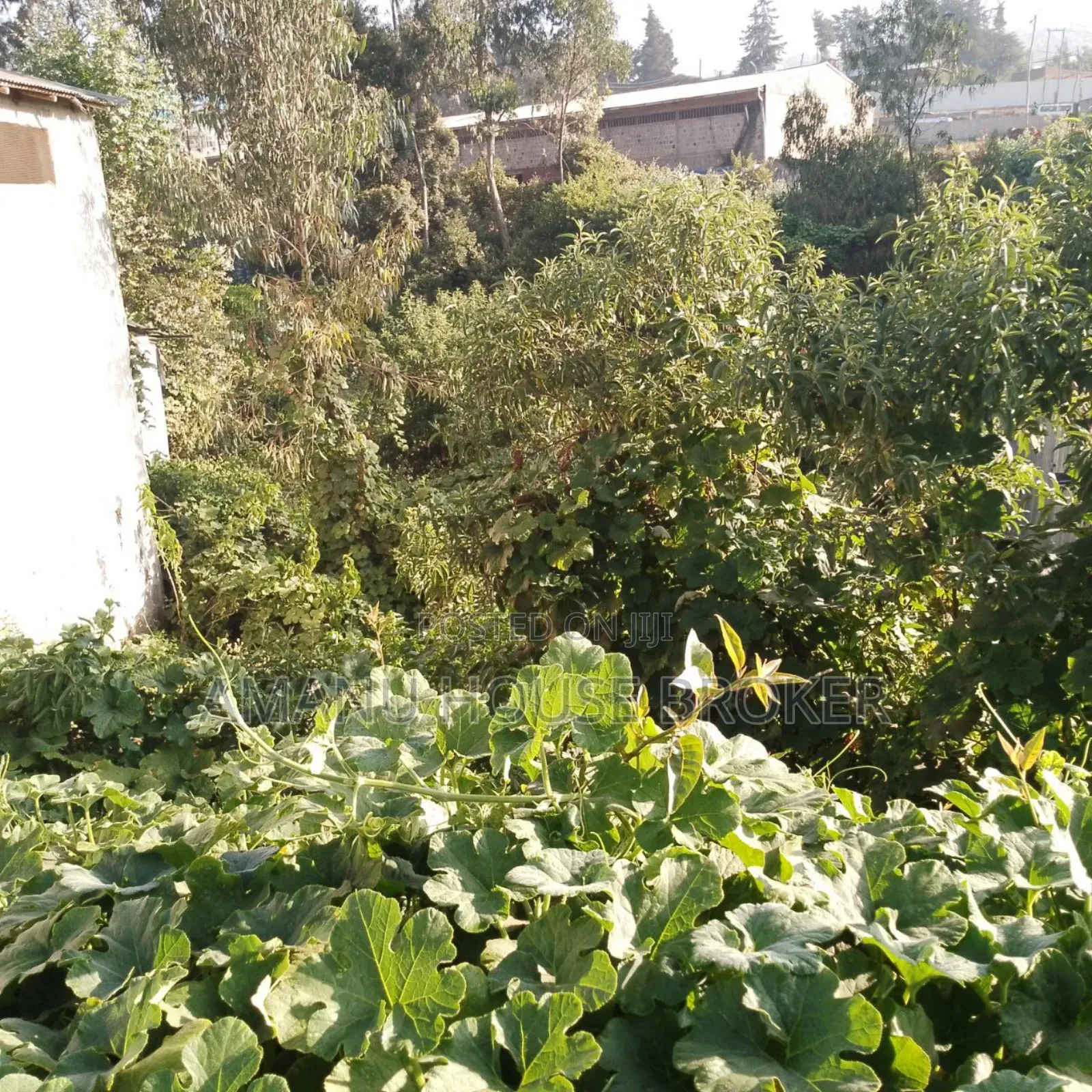 አስቸኳይ የሚሸጥ ለድርጅት የተወሰደ ቦታ