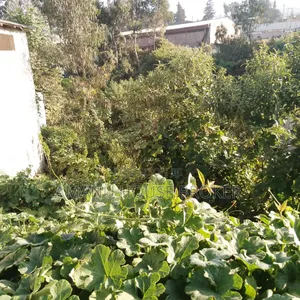አስቸኳይ የሚሸጥ ለድርጅት የተወሰደ ቦታ