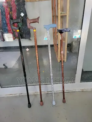Walking Stick