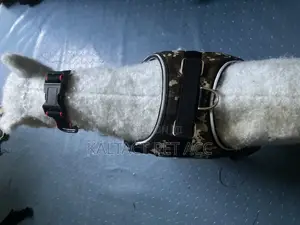 Sadle Dog Harness