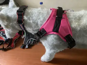 Saddle Dog Harnesses
