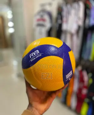 Mikasa Premium Quality Balls