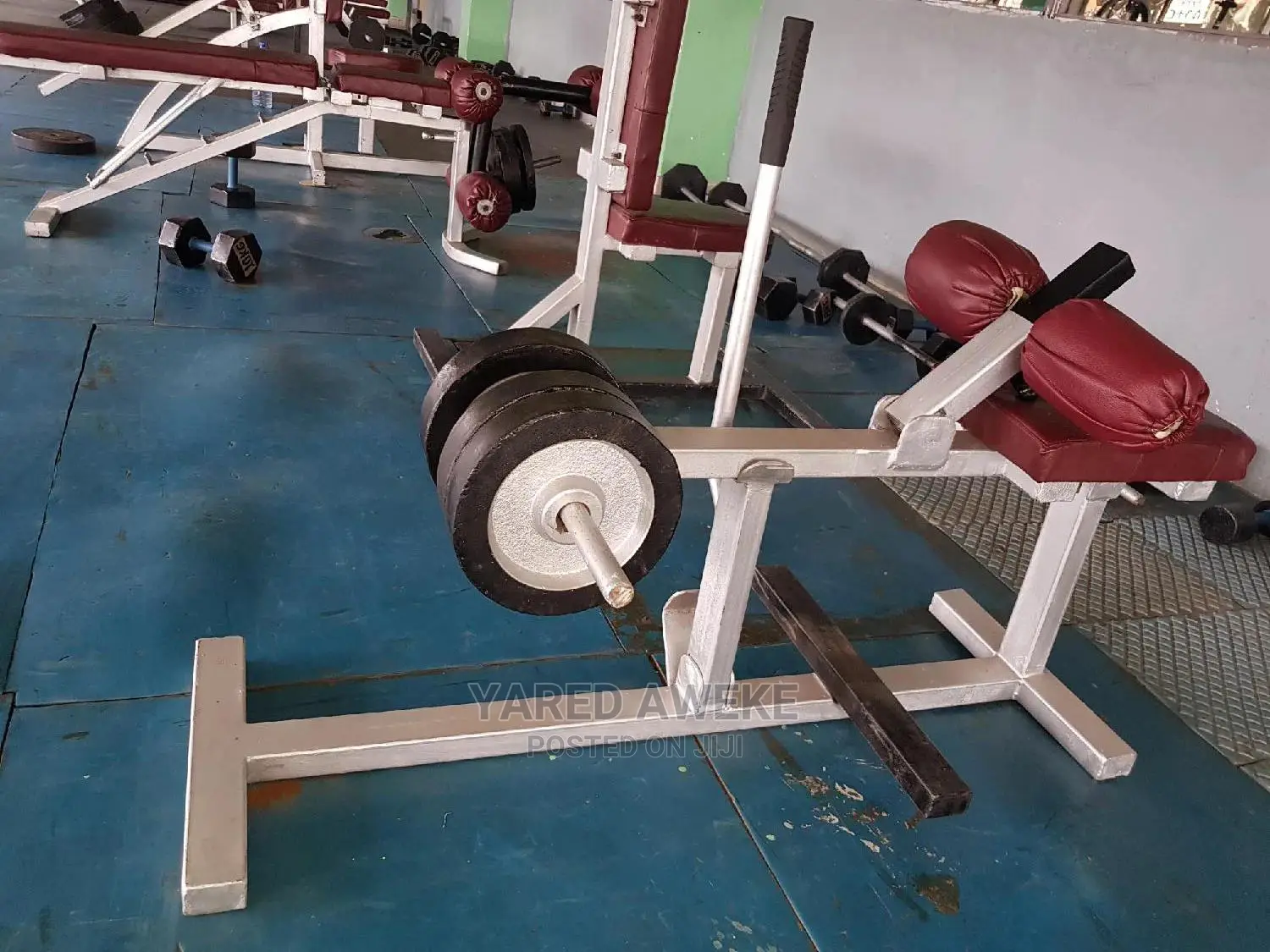 Calves Machion