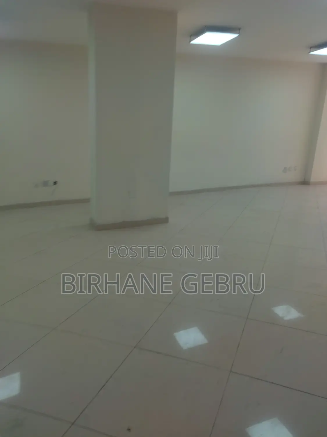 Luxury Apartment Rent for Office