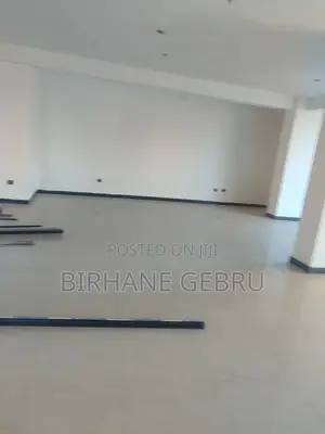 Luxury Apartiment Rent for Business or Office