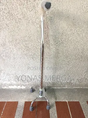 Walking Stick*Cane淨walking Stick鼯ከዘራ0walking Stick