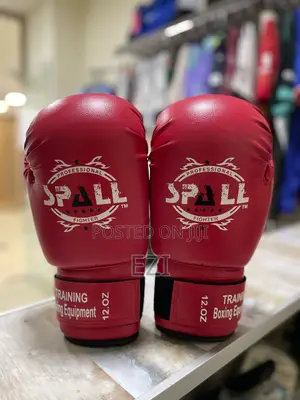 Box Training Equipment