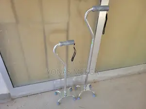 Medical Walking Stick址walking Cane與balancing Move Cane