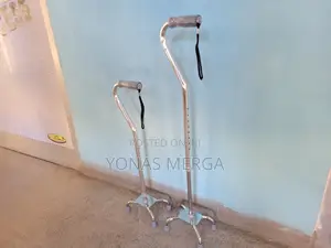 Walking Stick