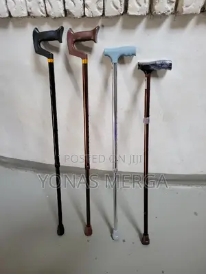 Walking Stick
