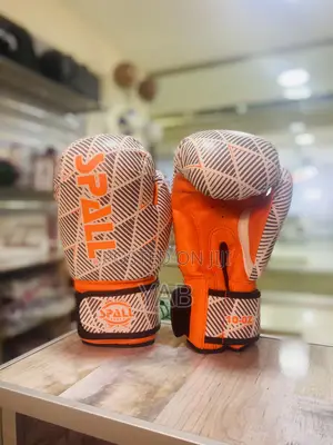 10oz Boxing Gloves