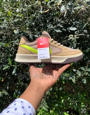 Nike Sb Shoes