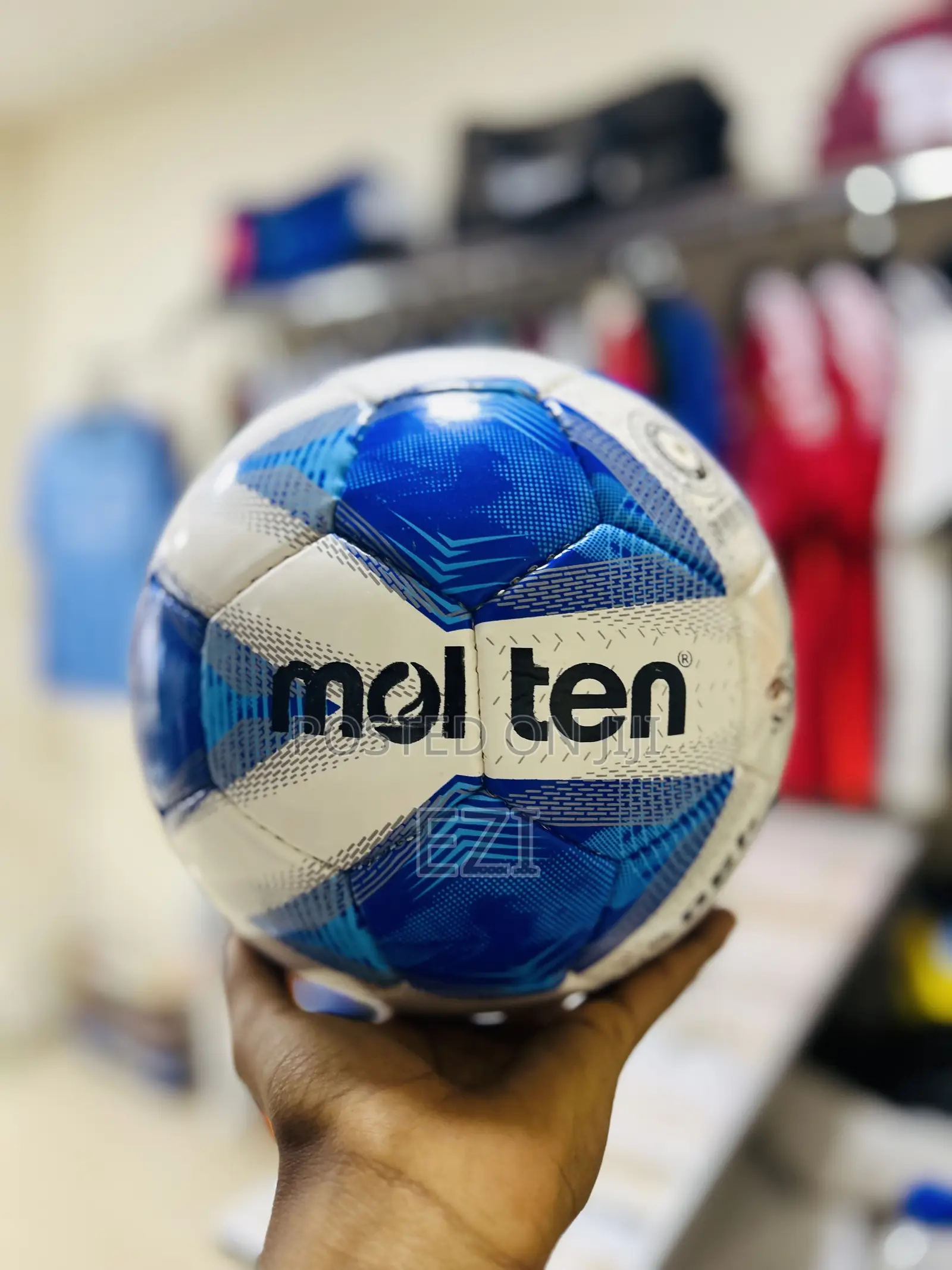 Molten 490 Blue Ball