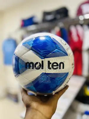 Molten 490 Blue Ball