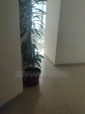 Studio Apartment for Rent
