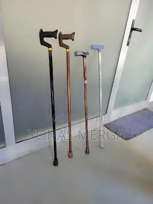 Walking Stick