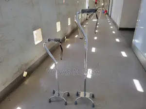 Walking Cane