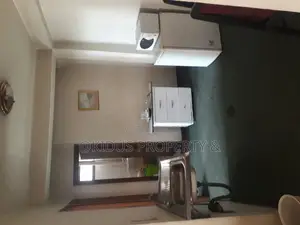 Furnished 1bdrm Apartment in African Union Areas, Nifas Silk-Lafto