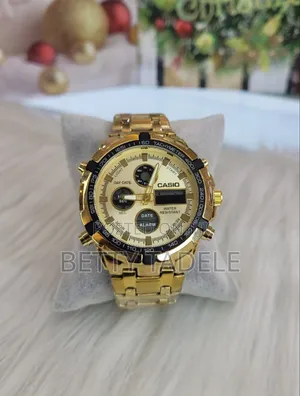 Casio Premium Watch