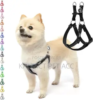 Heavy Duty Normal Dog Harness