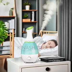 2.6 Litre Electrical Air Humidifier(ለግሩም መአዛ)