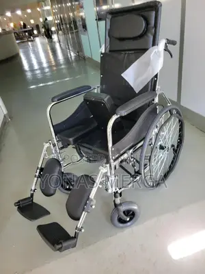 Wheelchair Reclining Standard懋wheelchair協leg Rest, 46cm Seat