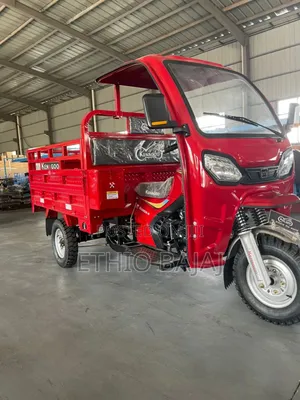 New Bajaj 2024