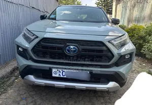 Toyota RAV4 2020 Blue