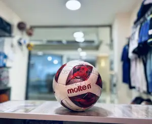 Molten All Weather Footballs