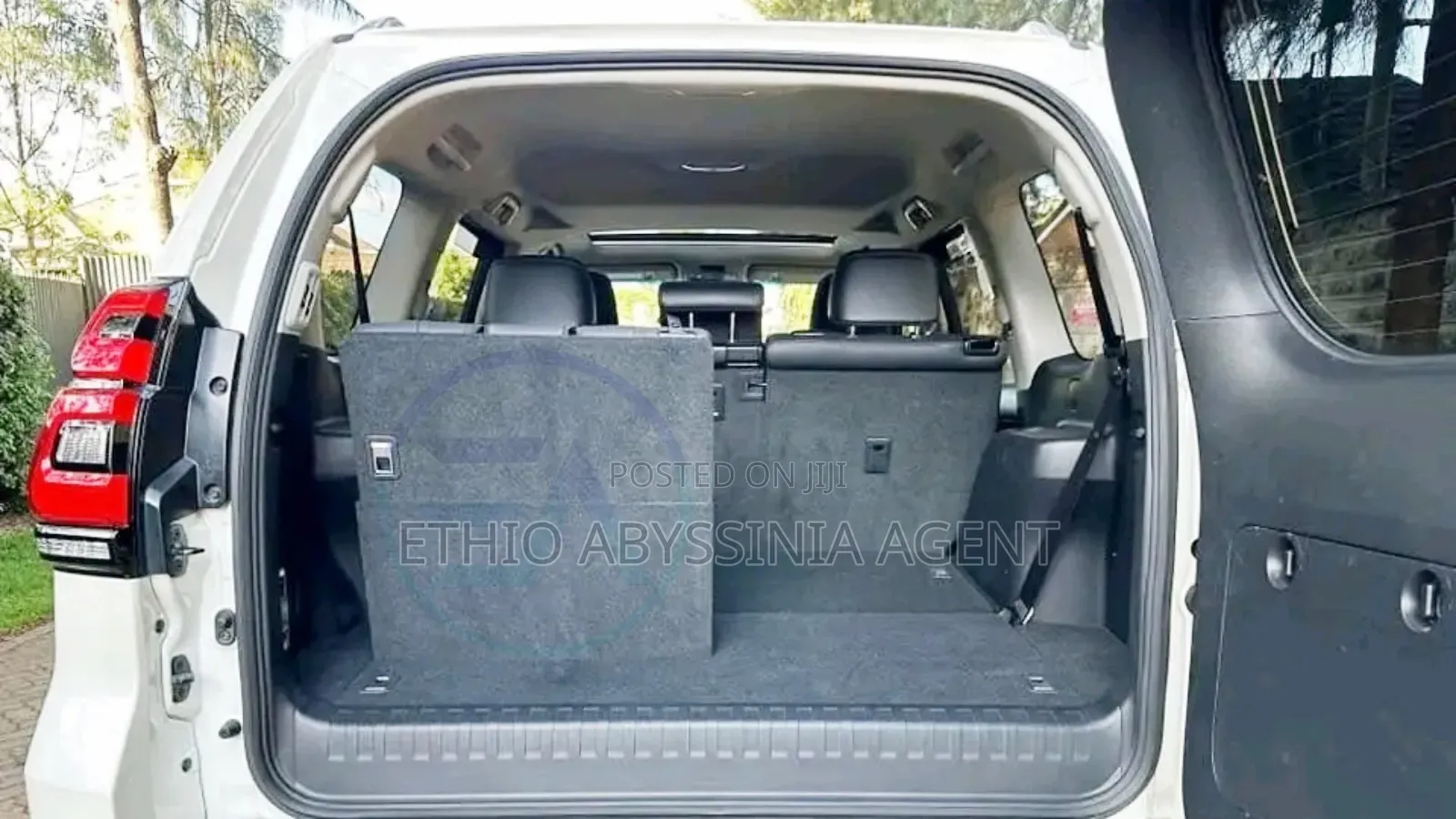 Prado for Rent