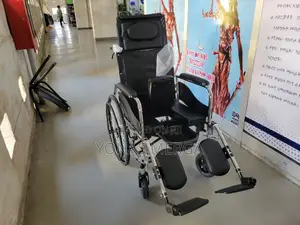 Potty Full Lying High Backlight Portable Disabled Wheelchair