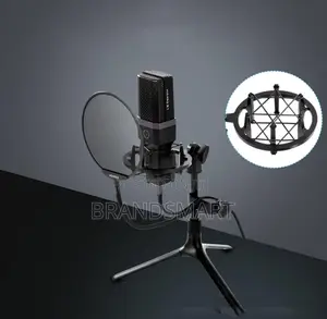 High End Professional Condenser Microphone