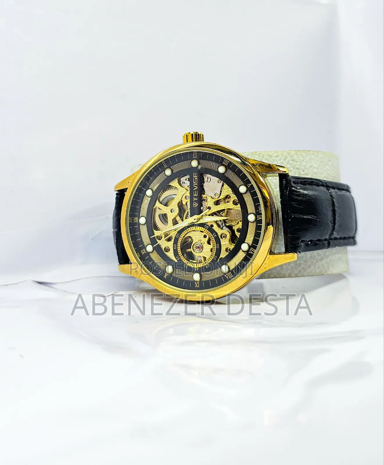 Tevise Original Fashion Business Automatic Watch for Men