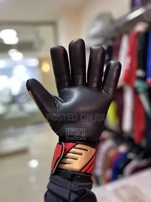 Goalkeeper Matts