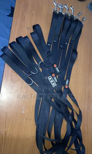 Dog Leash(መጉተቻ)