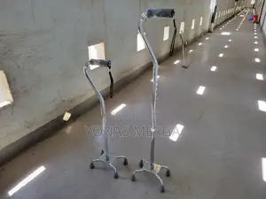 Walking Stickce