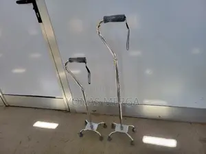 Walking Stickce