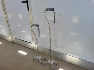 Walking Stickce