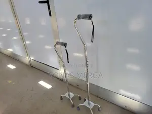 Walking Stickce