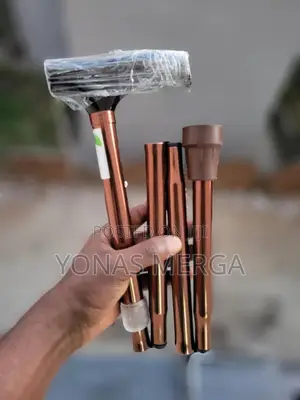 Walking Stick Collapses and Adjusts畹perfect Giftable Item