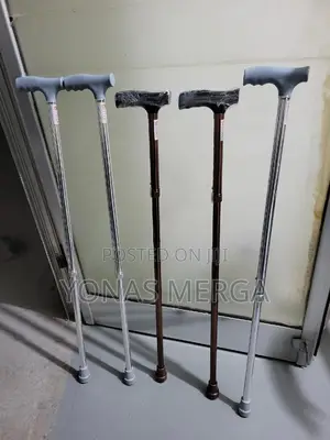 Walking Stick妻convalescence and Rehabilitation From Injury.