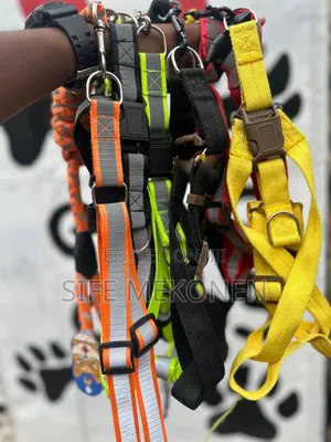 Dog Leashes