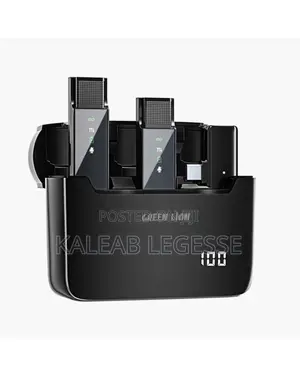 2in1 Digital Display Microphone