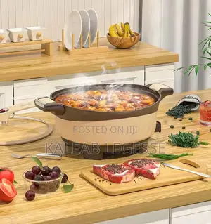  Electric Micro Pressure Cooker